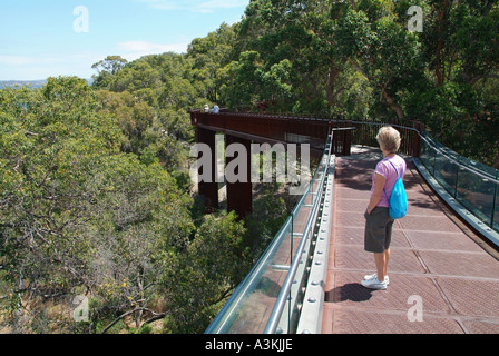 Woman with daypack standing admiring the lush canopy from an elevated walkway in Kings Park Perth Western Australia Stock Photo