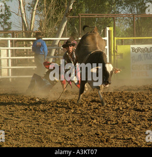 Rodeo Australia outback Mt Isa Queensland Stock Photo - Alamy