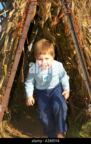 Young boy running through a tunnel of corn shocks Stock Photo