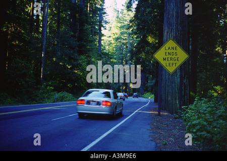 Cars travel on the Redwood Highway 101 in Northern California USA past a Lane Ends Merge Left road sign Stock Photo