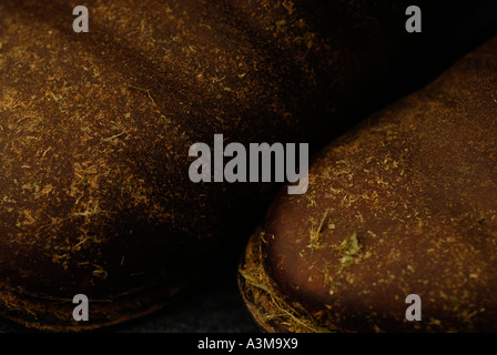 Cowboy boots covered in dried hay and grass and worn out leather Canada Stock Photo