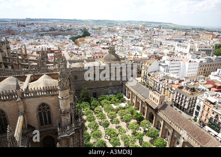 View from La Giralda Tower,Cathedral of Seville, looking over the orange groves and City,Andalusia,Spain,Europe Stock Photo