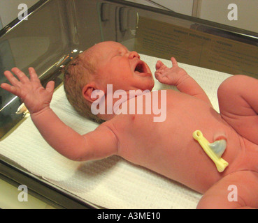 https://l450v.alamy.com/450v/a3me10/closeup-of-crying-newborn-baby-being-weighted-on-hospital-scale-with-a3me10.jpg