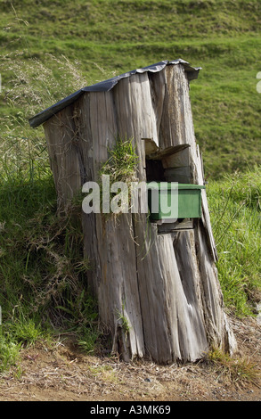 Mailbox set into a tree trunk North Island New Zealand Stock Photo