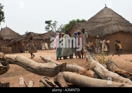 Village centre from across firewood for charcoal and cooking with gathering of local people, Northern Ghana Stock Photo