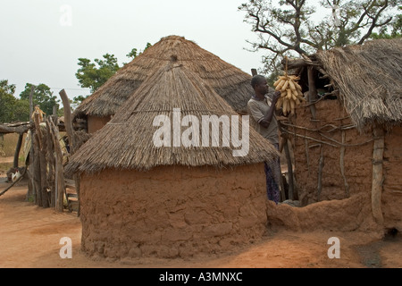 Local farmer preserving his maize by drying. Storage silo or kupro is in the left. Mognori village community, Northern Ghana Stock Photo