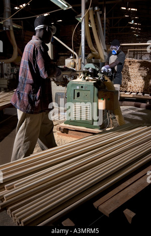 Production of kiln dried Sapele dowelling used in furniture mouldings, Ghana, West Africa Stock Photo