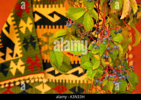 Grapes and vine with Turkish rug behind, near Bozburn, Datca Peninsula, Turkey Stock Photo