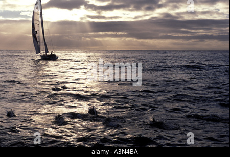 Sailing yacht on calm sea at sunset Stock Photo