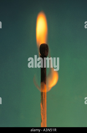 One single isolated wood matchstick lit and burning against a green background Stock Photo