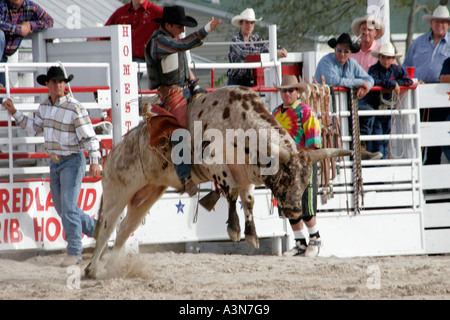 Miami Florida,Homestead,Championship Rodeo,cowboy,rope,lasso,man men male, hat,lifestyle,FL060130476 Stock Photo - Alamy