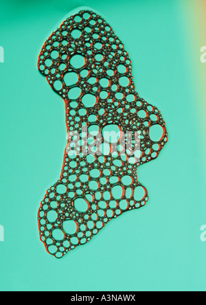 Bubble Pattern Stock Photo