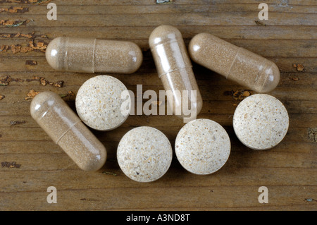 Shiitake Mushroom cachet  Stock Photo