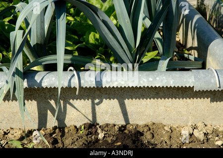 Slug fence  Stock Photo