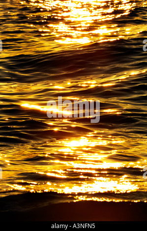 Sunset Evening over Delray Public Beach Florida with a burst of golden sunshine reflecting over ocean waves. Highway A1A N Ocean Blvd. Biodiverse ecological beaches and oceans. Stock Photo