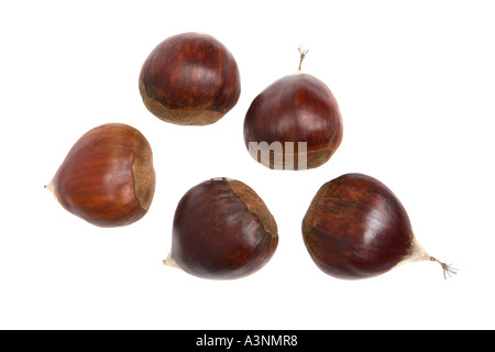 Chestnuts Stock Photo
