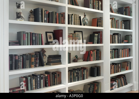 Book Shelf In Home Den Lounge Stock Photo