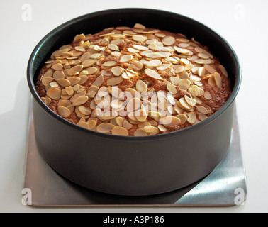 Light fruit cake topped with almonds in tin Stock Photo