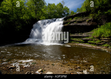 Summer at Pixley Falls in Pixley Falls State Park Boonville New York Stock Photo