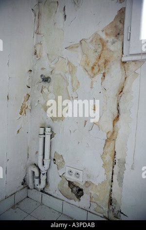 paint peeling off a wall suffering from excessive dampness Stock Photo