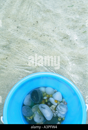 Bucket containing seashells on beach Stock Photo