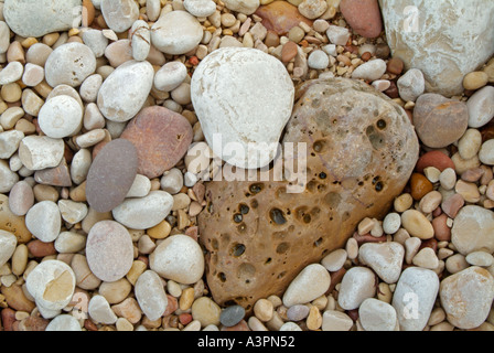 One small white pebble in a mass of smaller coloured ones on a beach in an abstract pattern Stock Photo