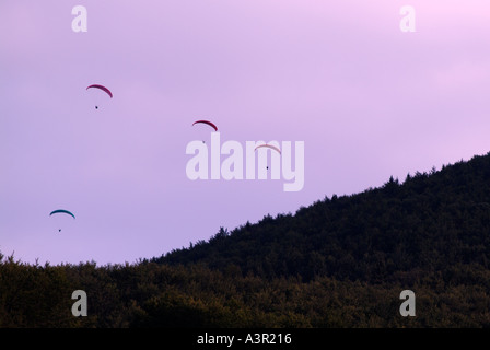 Paragliders in Flight Against a Dusk Sky Stock Photo