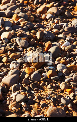 Beach pebbles Stock Photo
