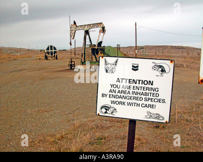 Elk Hills oil field near Coalinga California where the pumpers are painted like cartoon animals located area where endangered species live Stock Photo