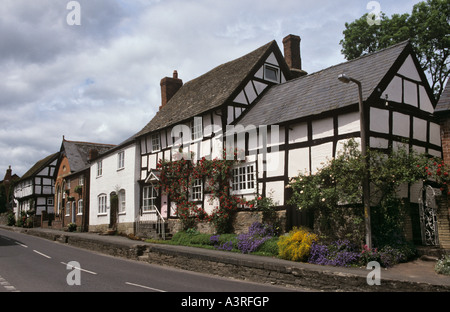 Pembridge Herefordshire England UK  Timber framed cottages in medieval black and white village street Stock Photo