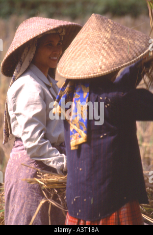 Indonesia Java Harvest time in a Javanese village Stock Photo