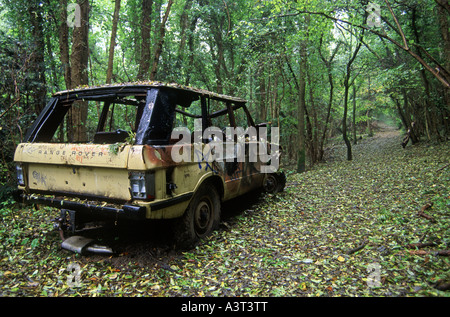 Burnt out wreck of a Range Rover abandoned in the countryside Stock ...