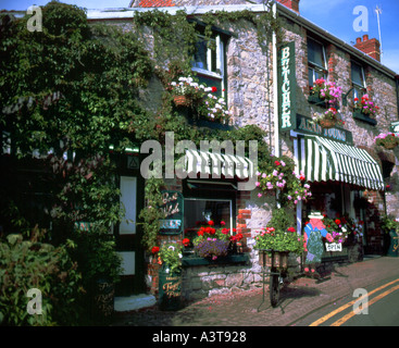 Butchers Shop, Llantwit Major, Vale of Glamorgan, South Wales, UK. Stock Photo