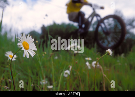 Mountain biking, Marquette, Michigan, Upper Peninsula Stock Photo