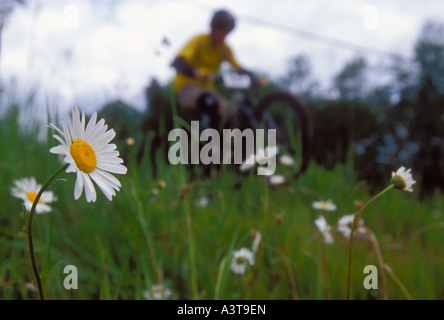 Mountain biking, Marquette, Michigan, Upper Peninsula Stock Photo