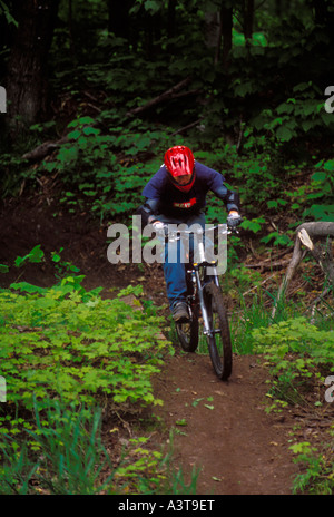 Mountain biking, Marquette, Michigan, Upper Peninsula Stock Photo