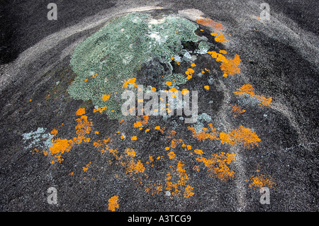 Orange green and pale lichen growing on granite dome in central Zimbabwe Stock Photo