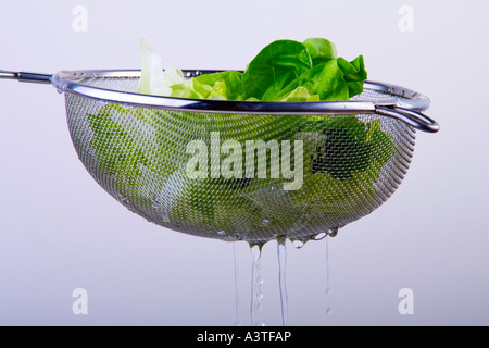Salad with strainer Stock Photo