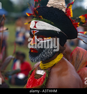 Close up side view of an Engi Tribesman’s exotically painted face and beard with feathered headband from Papua New Guinea Stock Photo