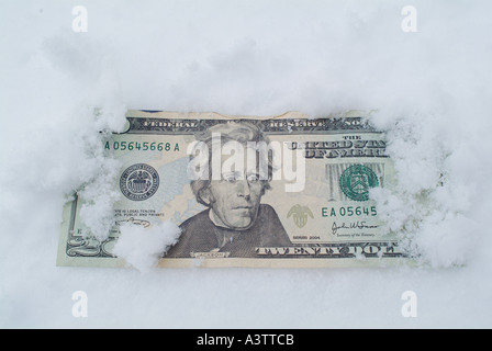 Twenty dollar bill US Dollars in Ice Frozen Assets money concept Stock Photo