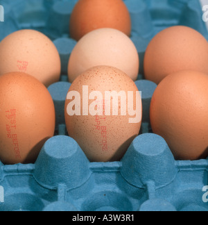 Eggs in an egg box showing best before date Stock Photo