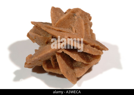 Mineral Gypsum, Varient Desert Rose Stock Photo