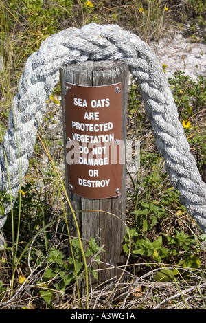 Rope and sign protecting Sea Oats on Gulf of Mexico beach. Indian Shores, Tampa Bay Beaches, Florida USA Stock Photo
