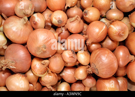 Onions Stock Photo