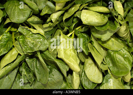 Spinach Leaves, Close Up. Stock Photo