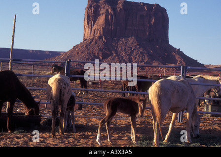 AJ24158, Monument Valley Navajo Tribal Park, AZ, Arizona Stock Photo