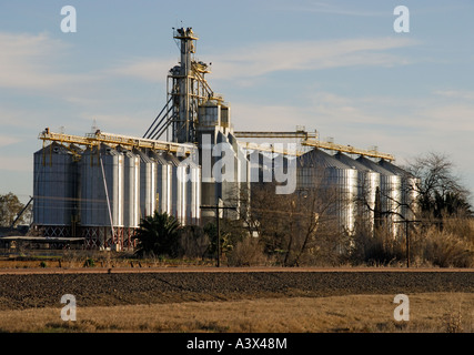 Rice storage silos with grain elevator at rural rice dryer in South ...