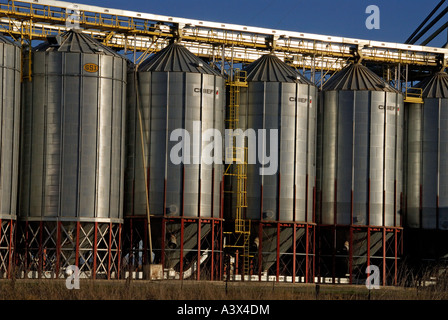 Rice storage silos with grain elevator at rural rice dryer in South ...