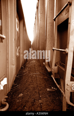 Abandoned railroad boxcars in upstate New York Stock Photo