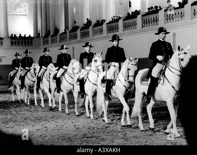geography / travel, Austria, Vienna, buildings, Spanish Riding School, Lippizaner and riders in row, 1960s, Stock Photo